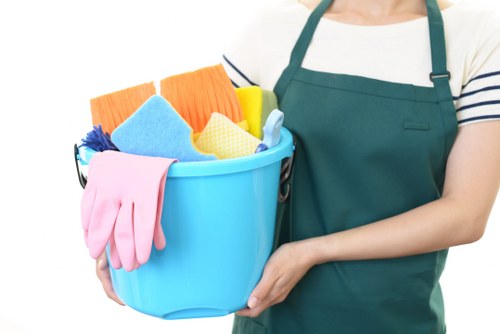 Belsizepark Carpet Cleaners introduction to professional carpet care
