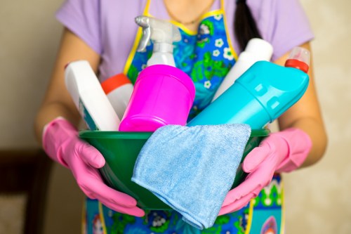 Professional carpet cleaner restoring a carpet in Belsize Park home
