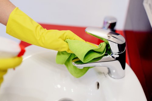 Eco-friendly home cleaning supplies in Belsizepark