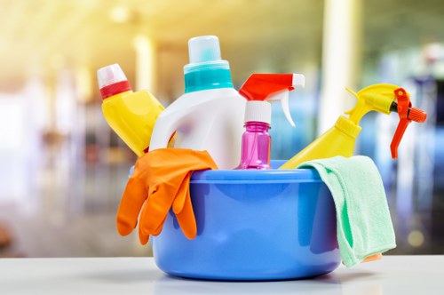 Modern carpet cleaning equipment used by a Belsizepark specialist