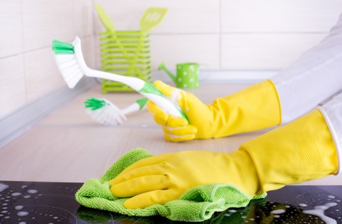 Professional carpet cleaner using safe working methods