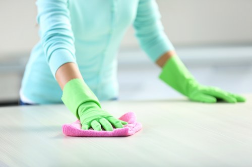 Professional end of tenancy cleaning in a Belsize Park rental property