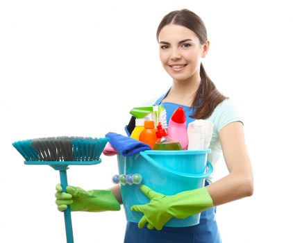 Professional Belsize Park carpet cleaners explaining service standards