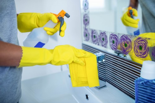 Regular house cleaning for a tidy Belsizepark living room