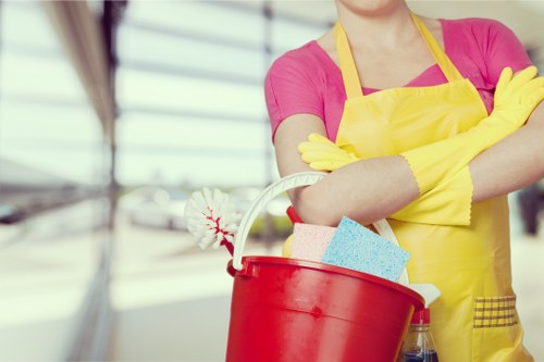 Residential window cleaning service in Belsizepark